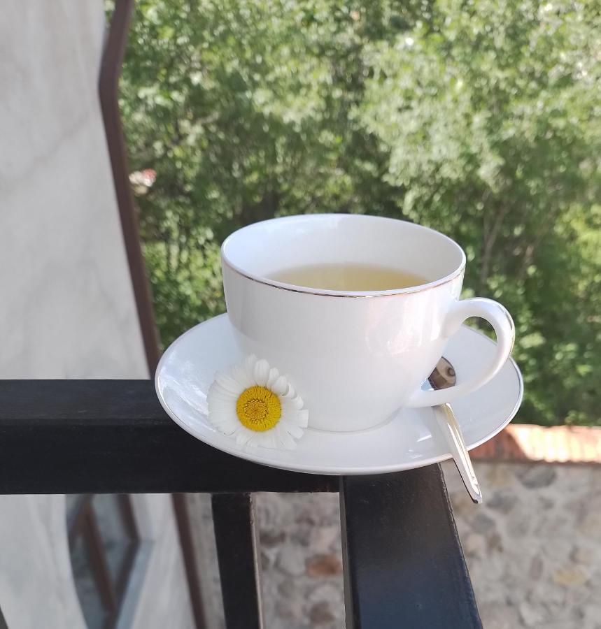 Noy * Vanadzor